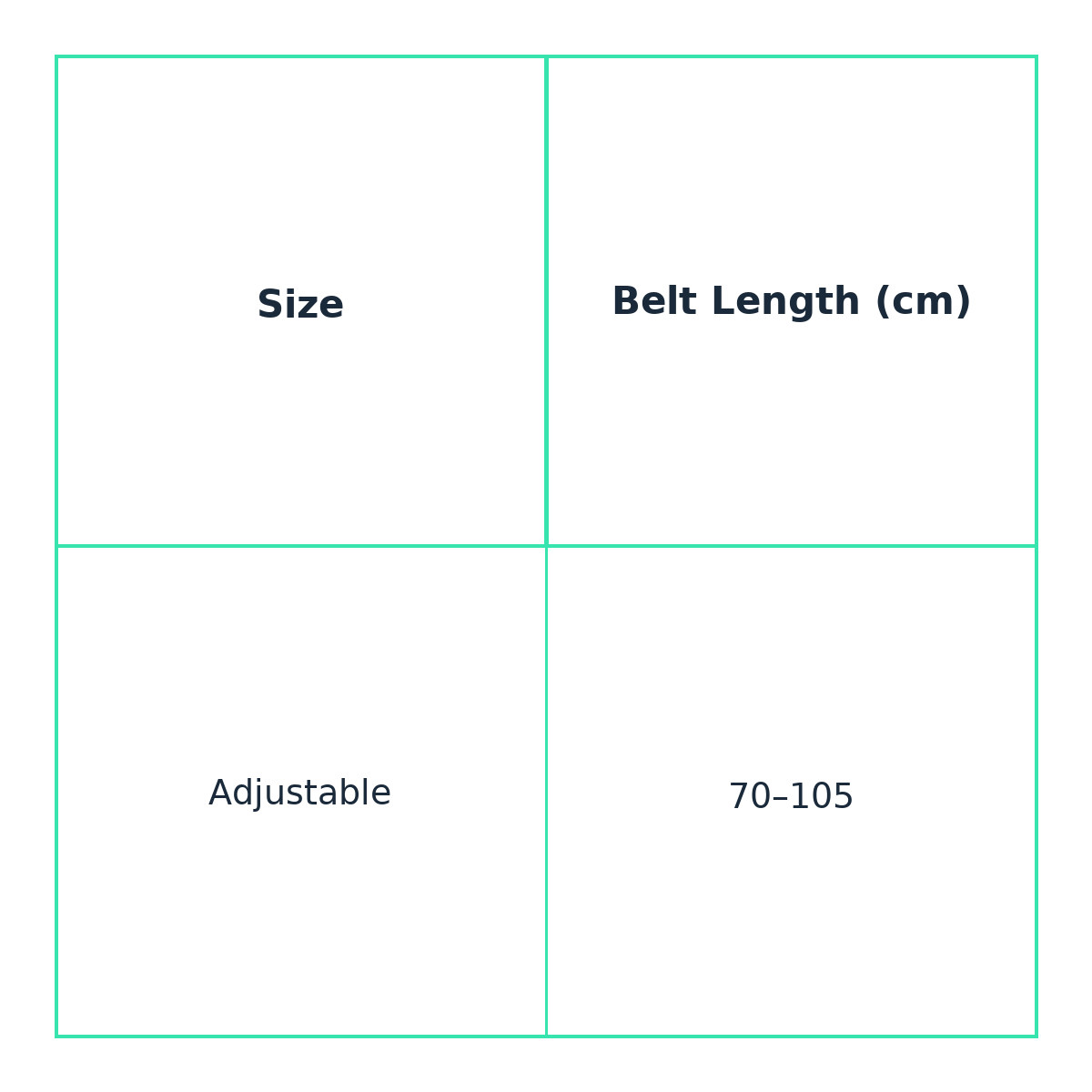 Juggling master football belt size guide